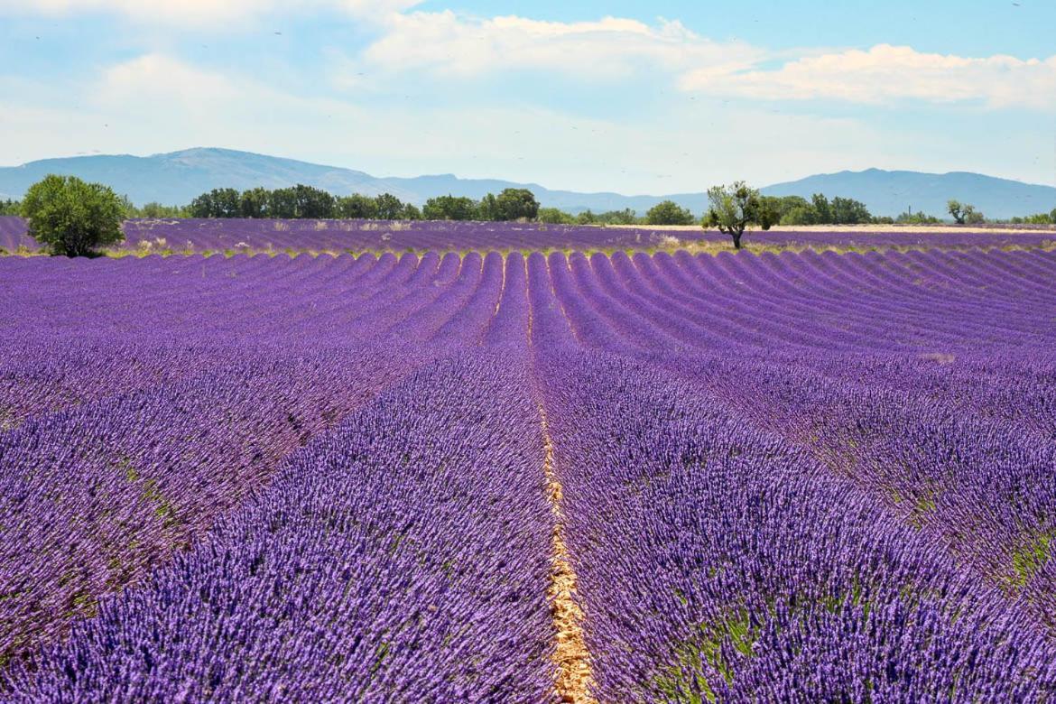 Du Vallon * Allemagne-en-Provence